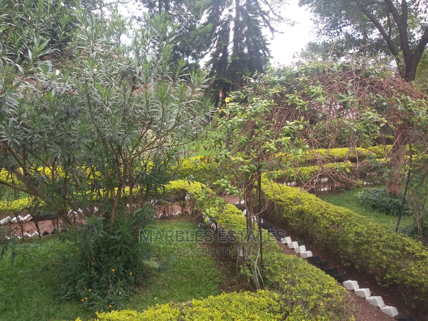 4bdrm House in Naguru, Central Division for Rent in Central Division