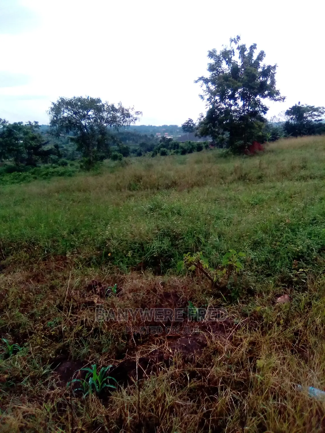 5acres of Land for Sale in Katikamu Luwero in Katikamu