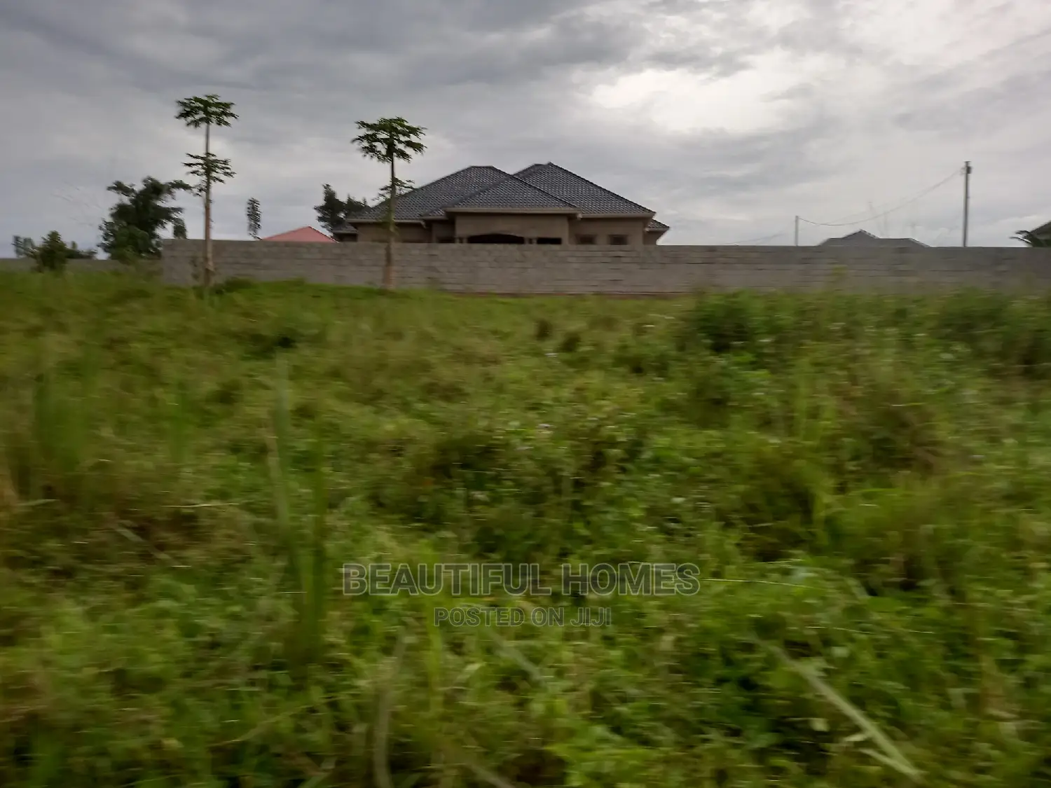 2 Plots in Kira on Sell in Kira