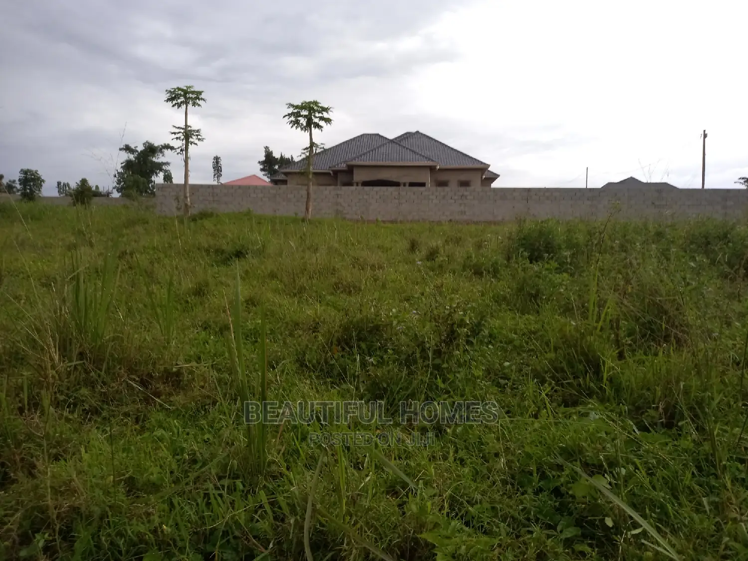 Kira Nice Two Plots of Land on Sell in Kira