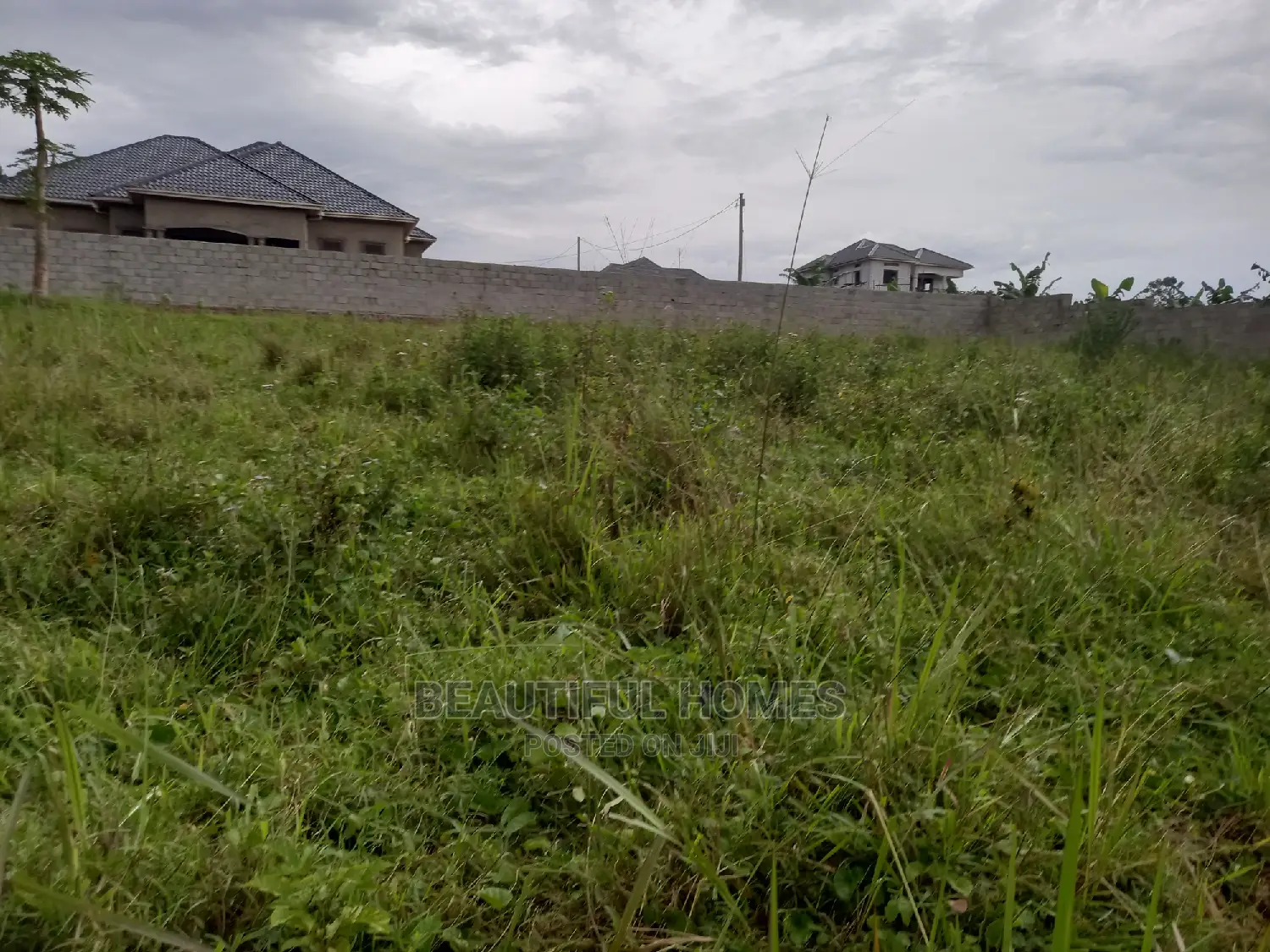 Kira Pretty Two Plots on Sell in Kira
