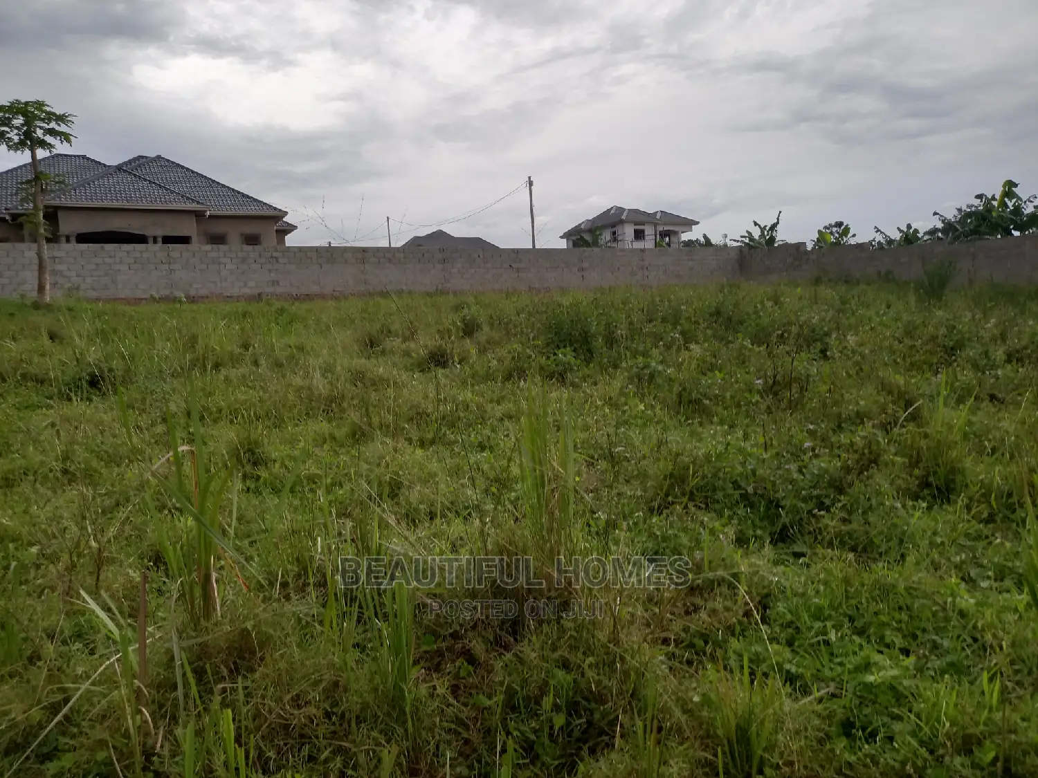 Kira Great Two Plots of Land on Quicksell in Kira
