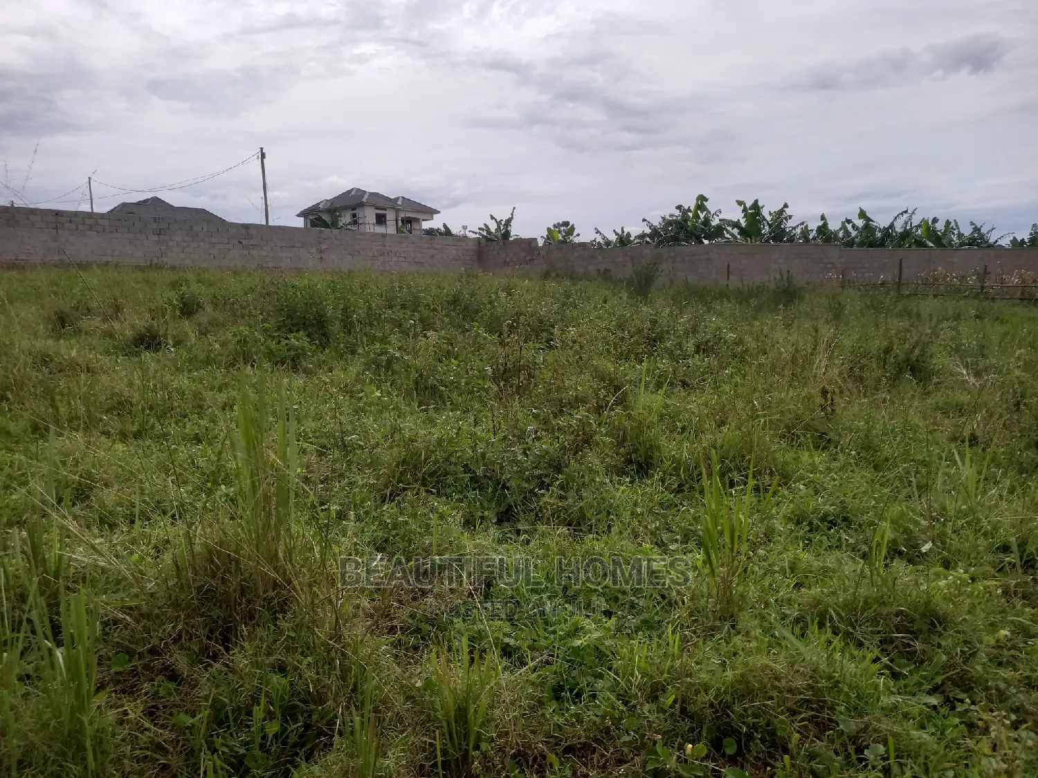 Two Plots at Kira on Sale. in Kira