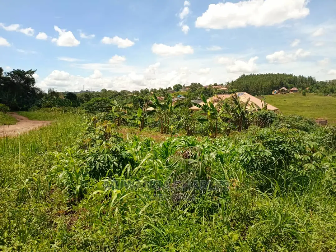 12decumals Plot of Land for Sale at Gayaza Nakwero in Central Division
