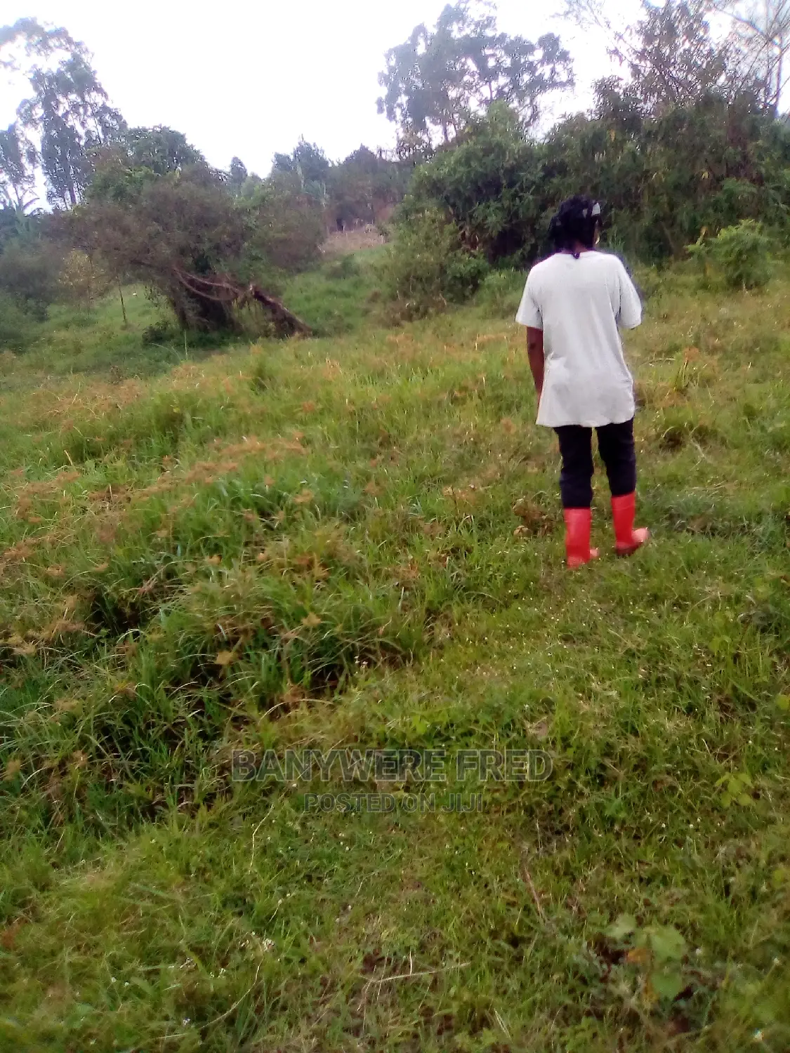 Acer of Land at Nagojje for Sale in Mukono District in Nagojje