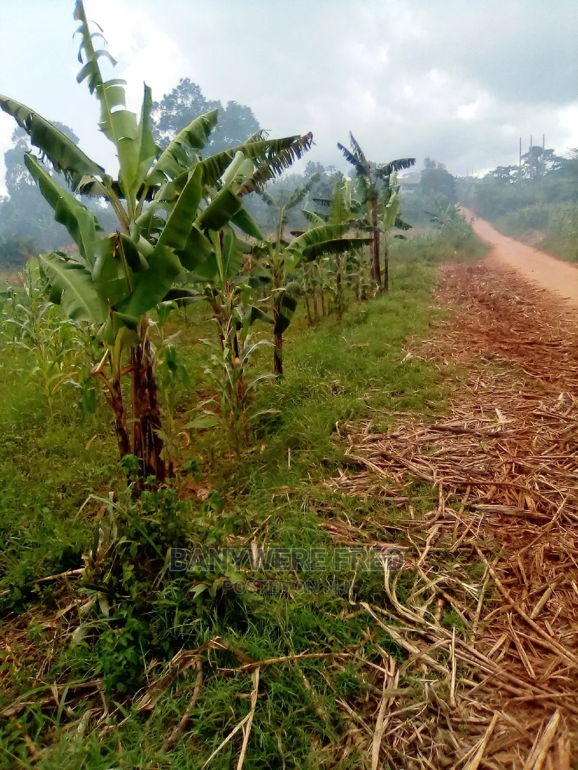 2 Acer's of Land on at Namuyejje in Mukono District in Kyampisi