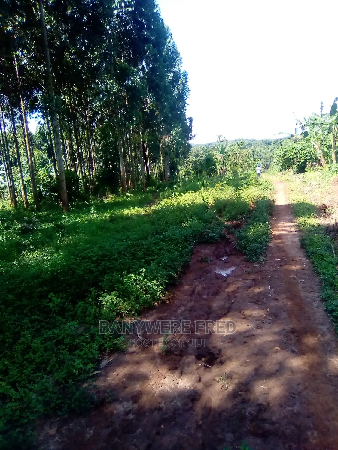 16acres for Sale in Makulubita in Makulubita