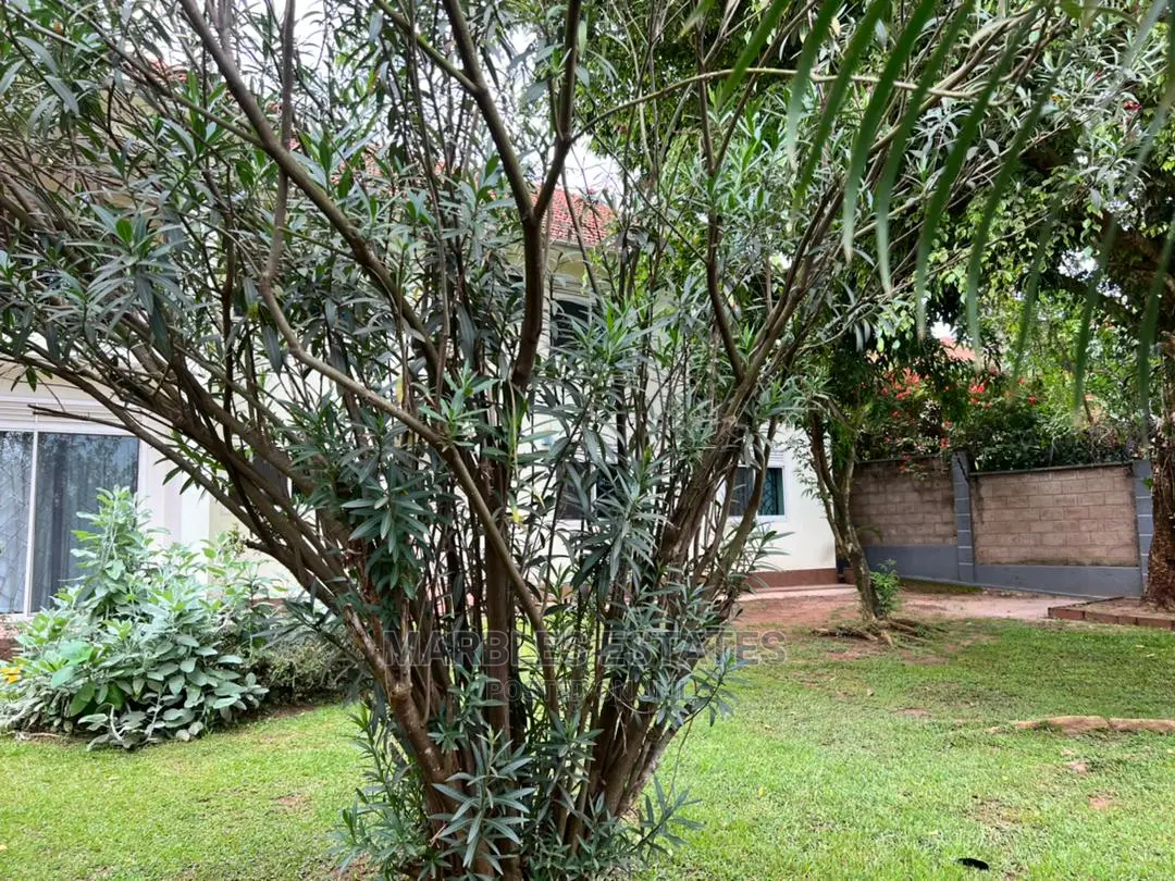 2bdrm Apartment in Naguru, Central Division for Rent in Central Division