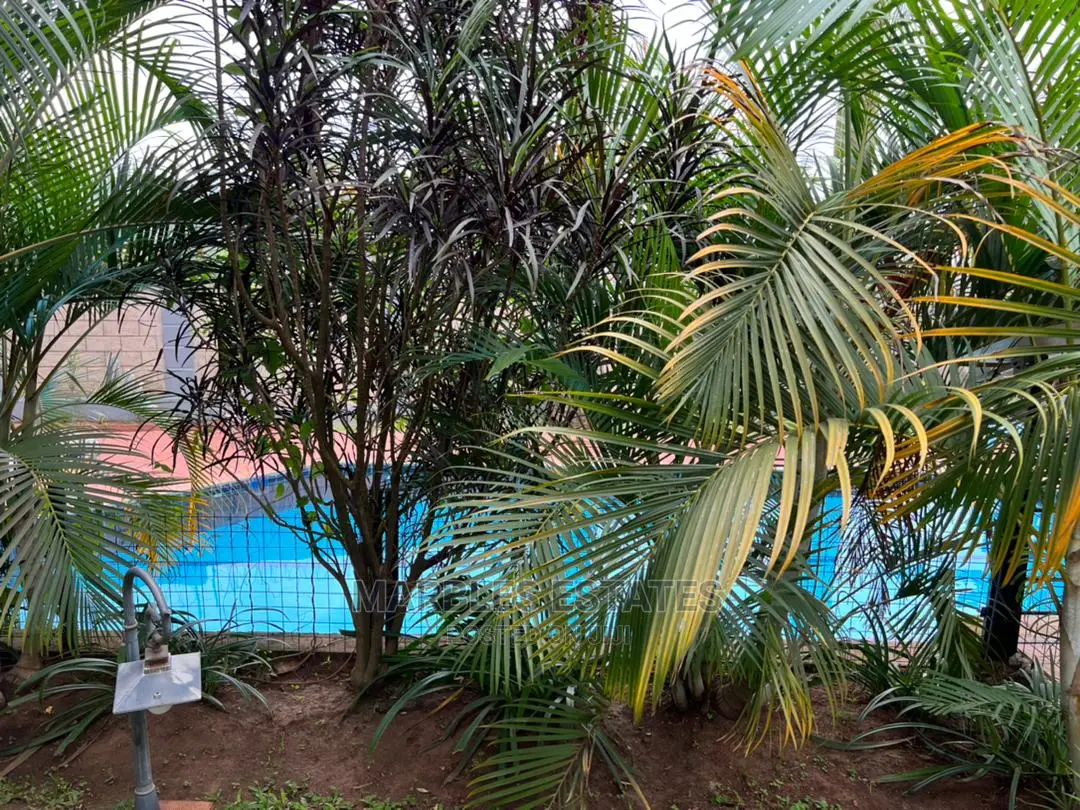 2bdrm Apartment in Naguru, Central Division for Rent in Central Division