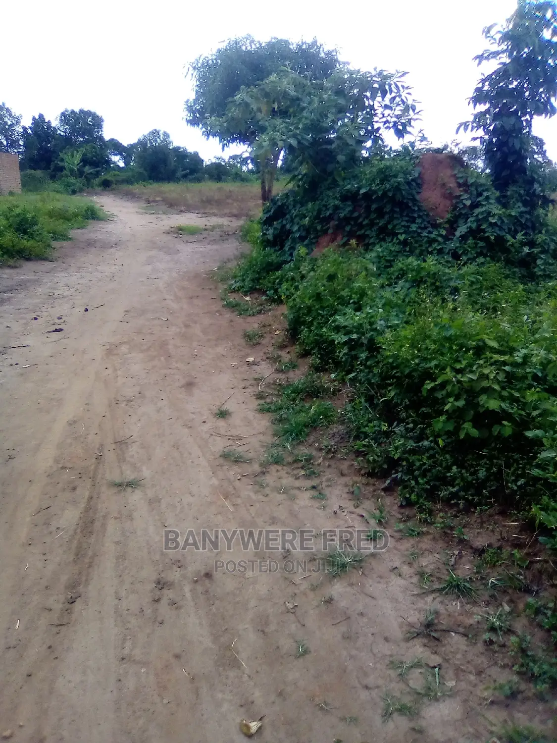 50/100 Plot for Sale in Kyampisi in Kyampisi