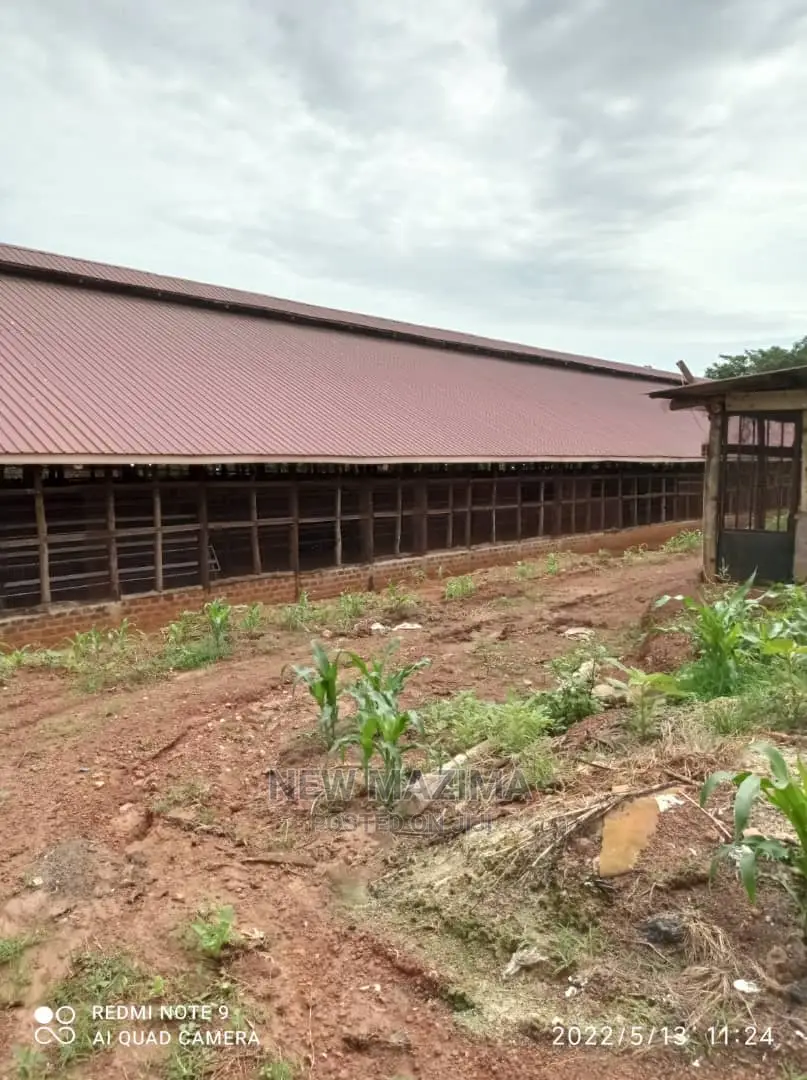 Poultry Farm on Two Acres on Quicksale in Mukono Kayunga in Division A