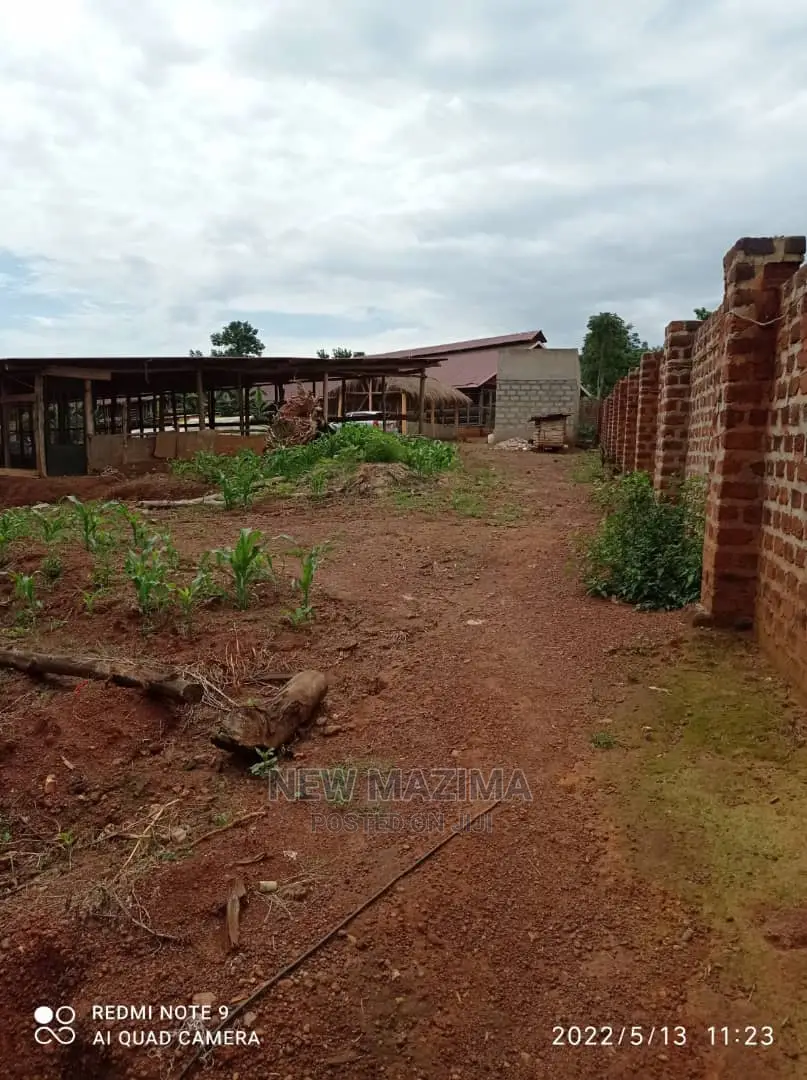 Poultry Farm on Two Acres on Quicksale in Mukono Kayunga in Division A