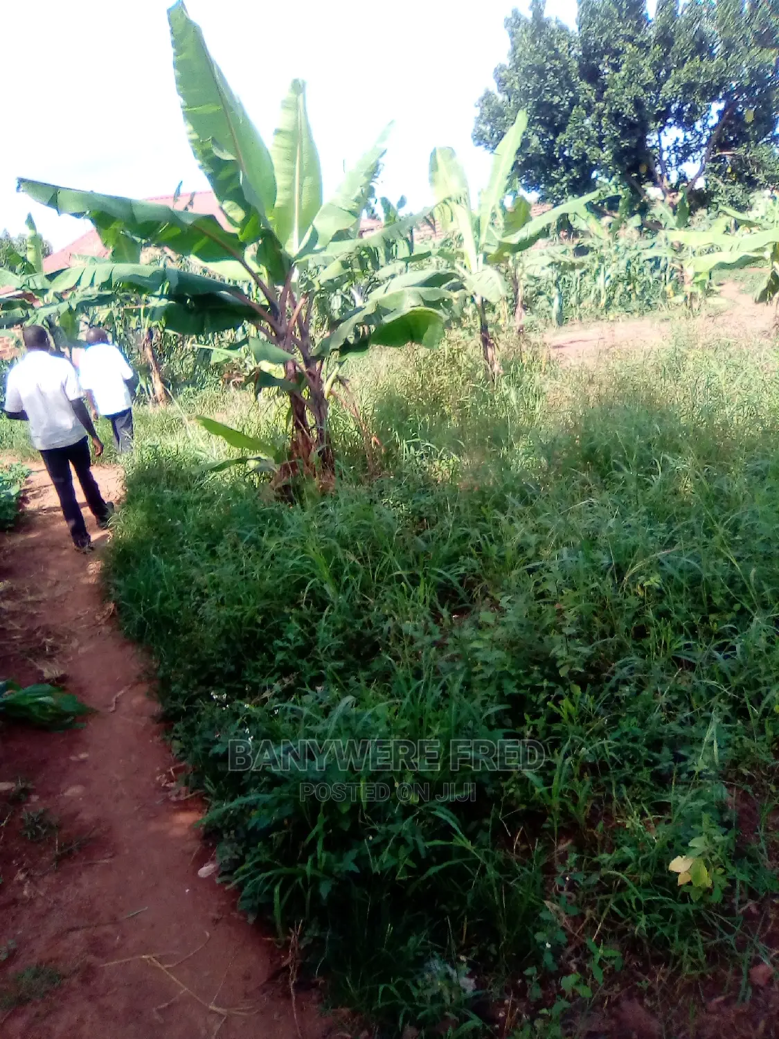 11/2acer of Land at Nawero Central on Sale in Kira