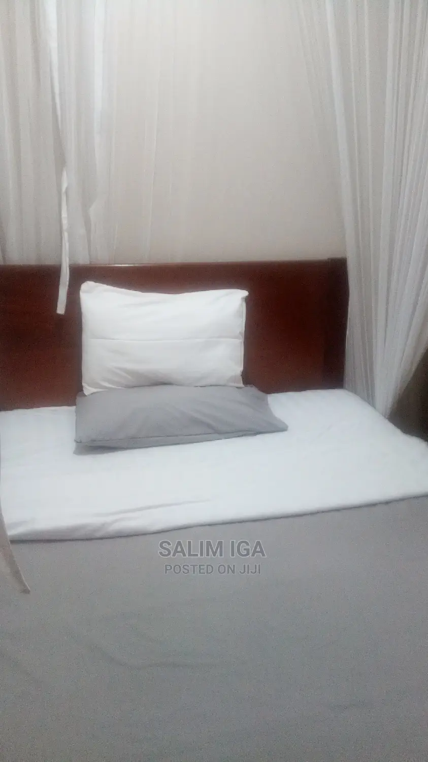 Furnished 2bdrm Block of Flats in Kololo Property, Central Division in Central Division