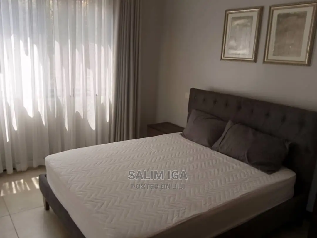 Furnished 2bdrm Block of Flats in Kololo Property, Central Division in Central Division