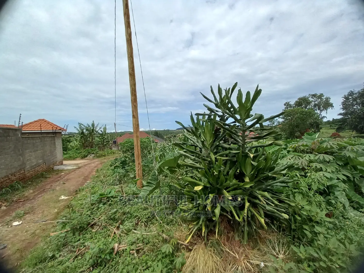 Kira Ideal Plot for Sell in Kira