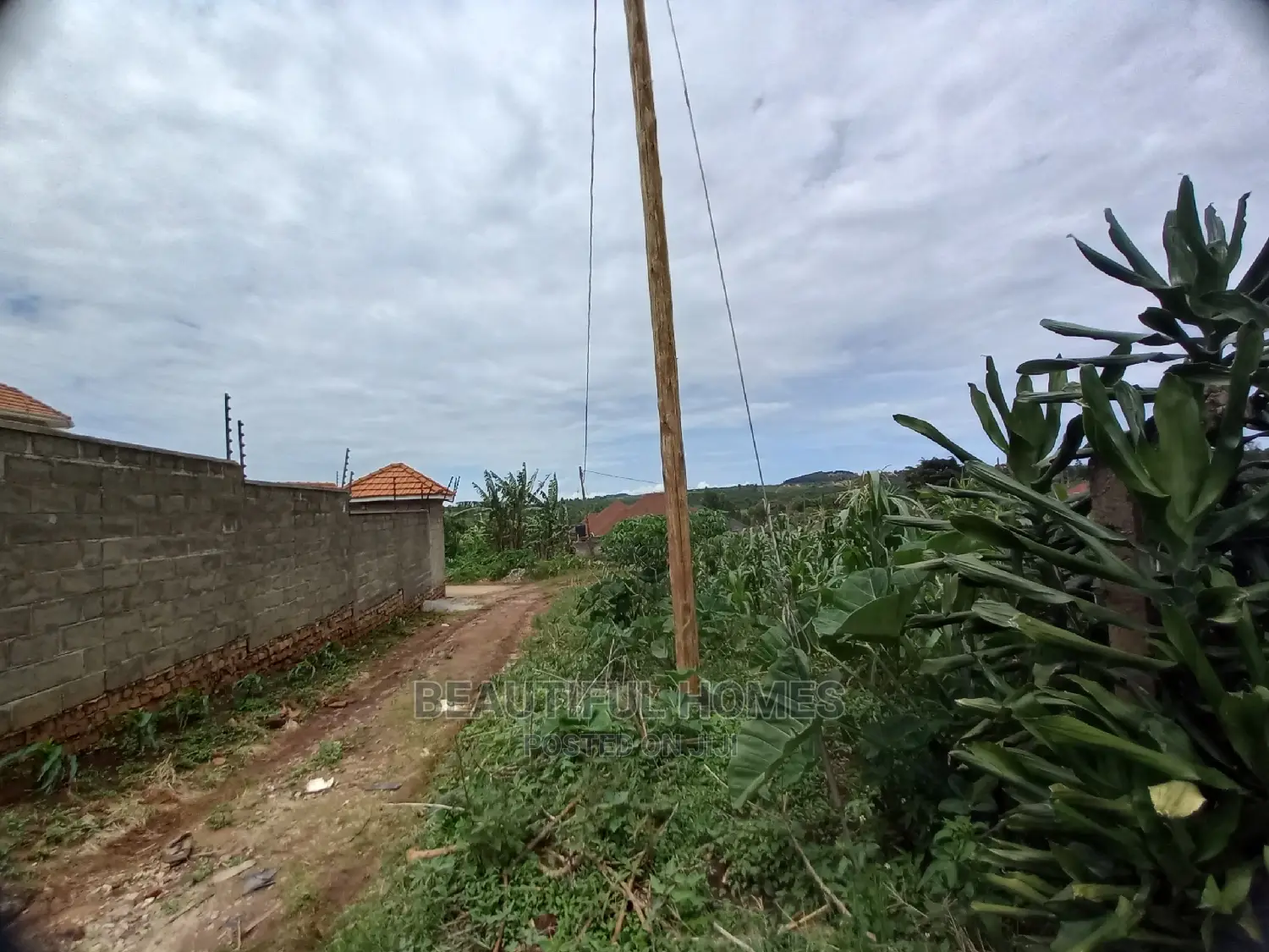 Kira Land for Fast Sell in Kira