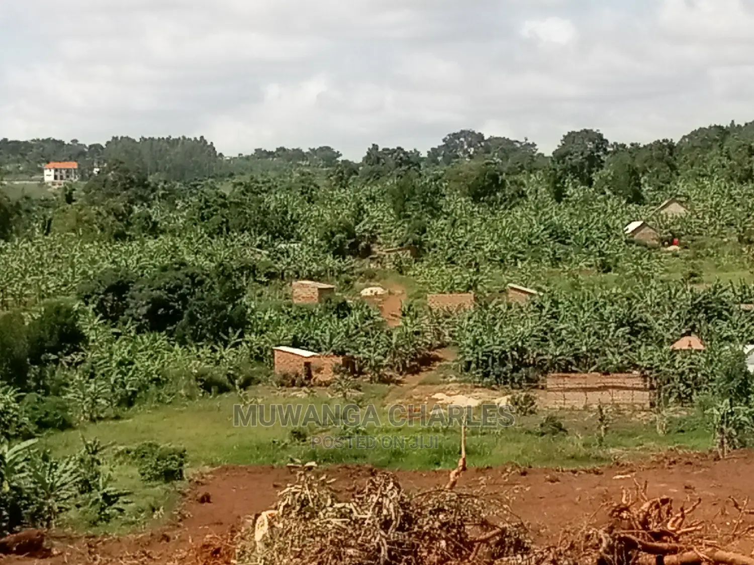 4acres of Land for Sale at Namulonge in Central Division