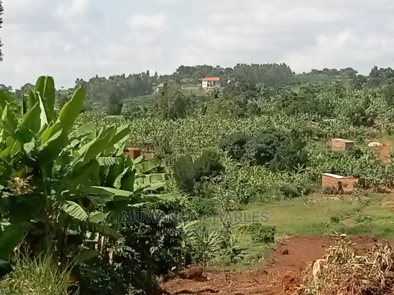 4acres of Land for Sale at Namulonge in Central Division