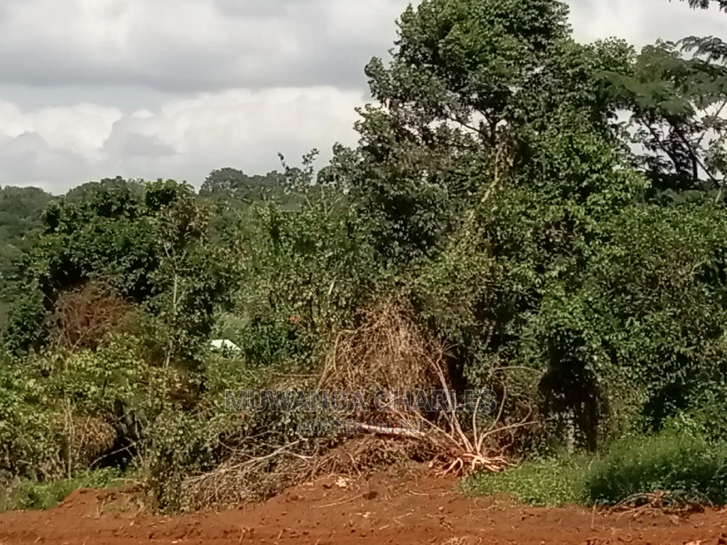 4acres of Land for Sale at Namulonge in Central Division