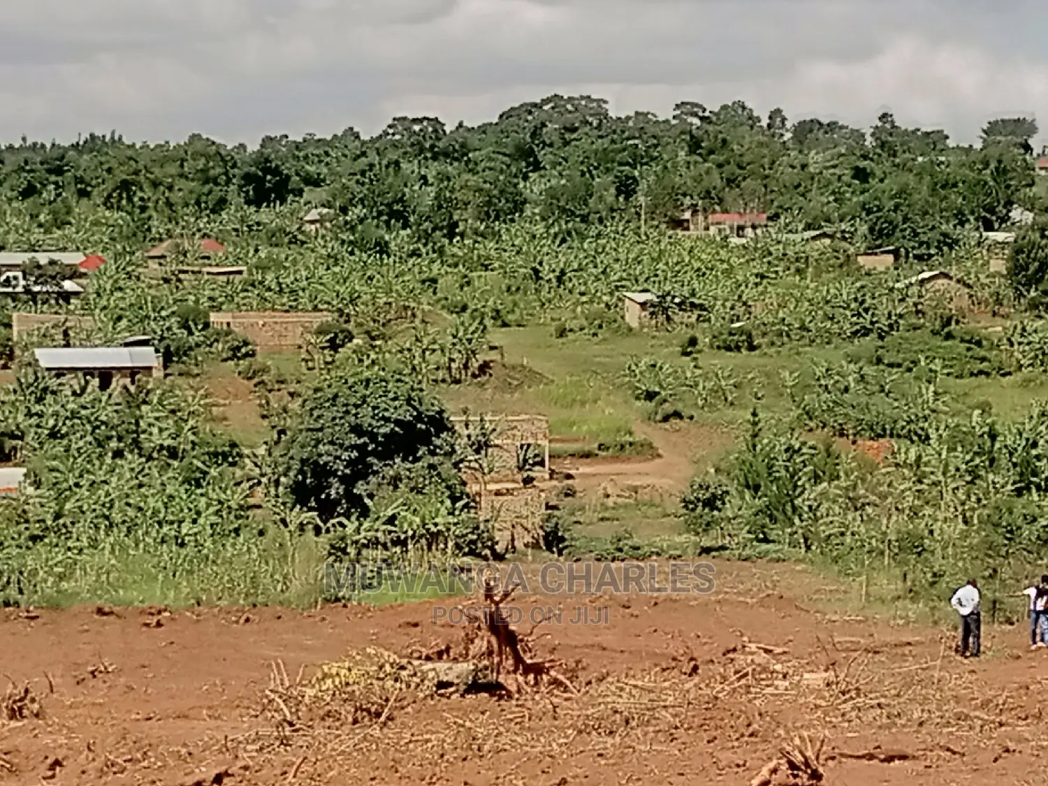 4acres of Land for Sale at Namulonge in Central Division