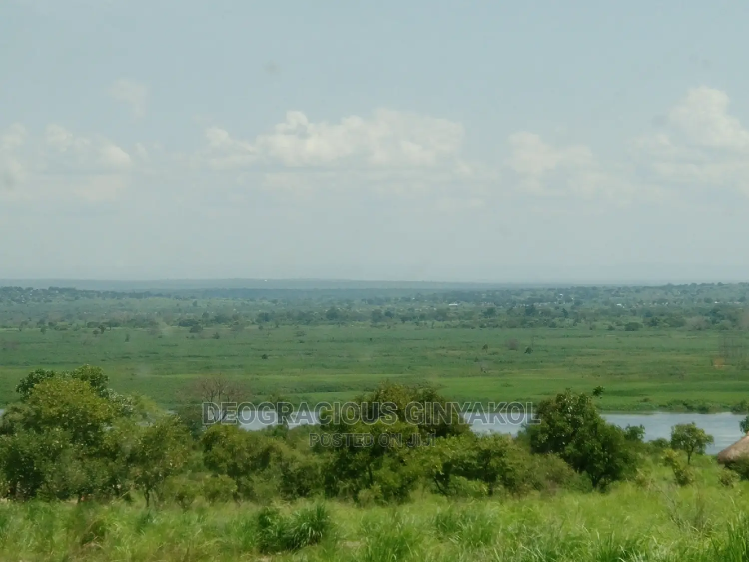 Northern Uganda Virgin Fertile Land Touching Rivernile(Amuru in Gulu