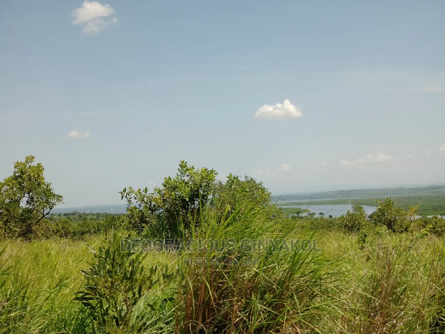 Northern Uganda Virgin Fertile Land Touching Rivernile(Amuru in Gulu