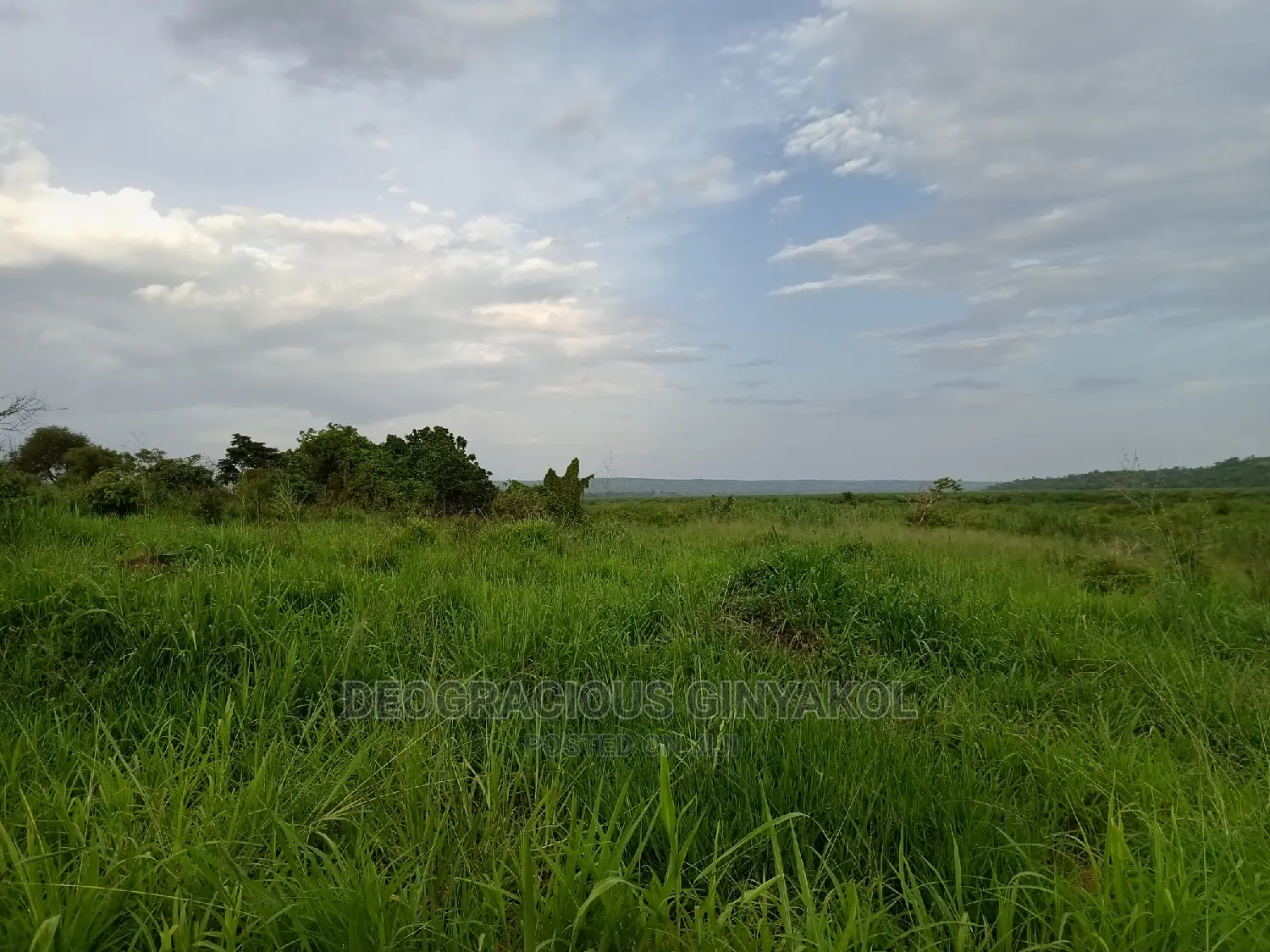 Northern Uganda Virgin Fertile Land Touching Rivernile(Amuru in Gulu