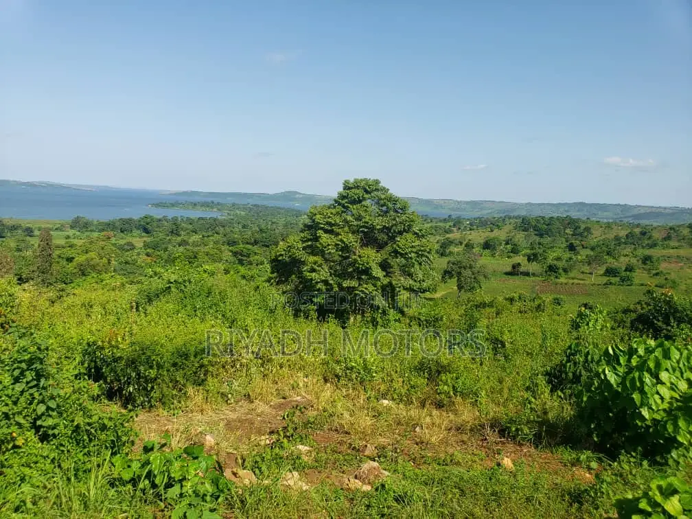 Land for Sale in Central Division