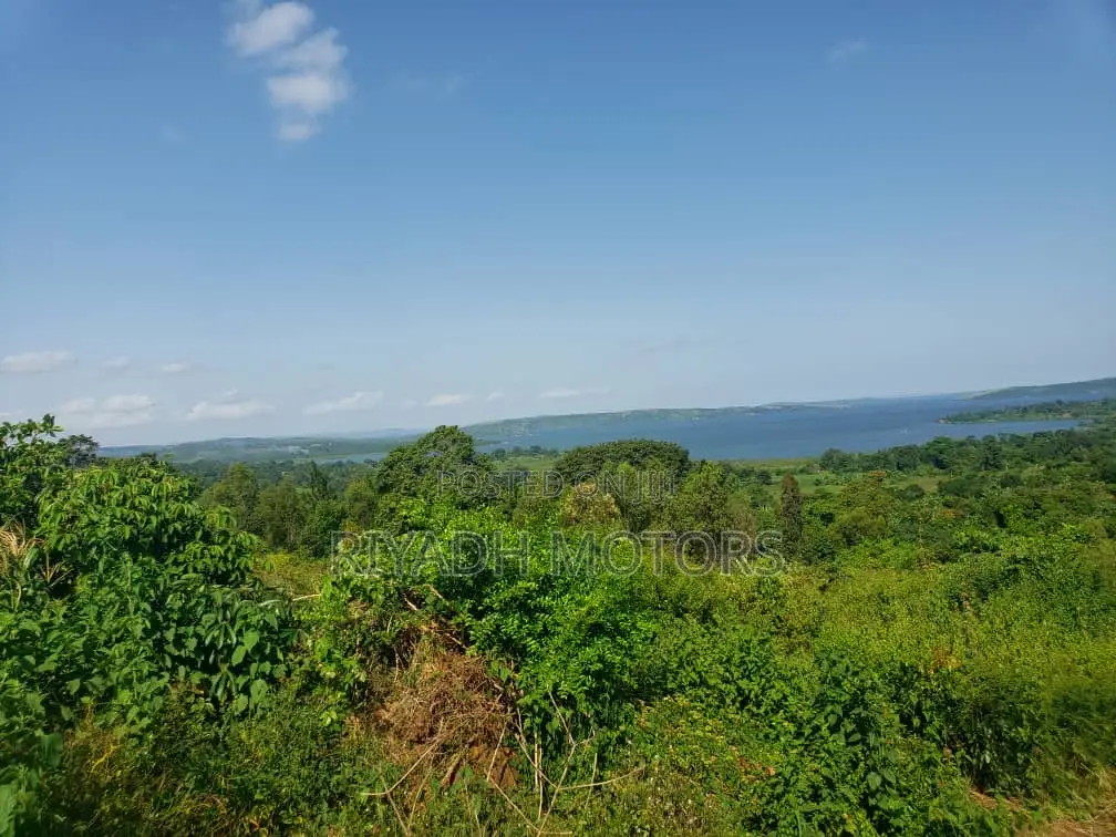 Land for Sale in Central Division