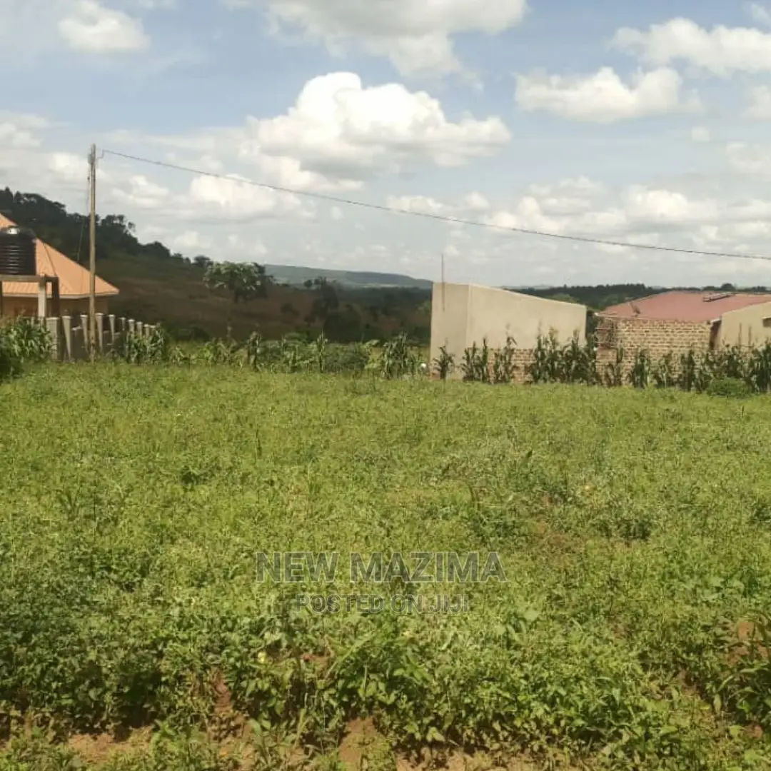 New Estate With Sweetplots at Give Away Price Kiwebwa Manze in Division B
