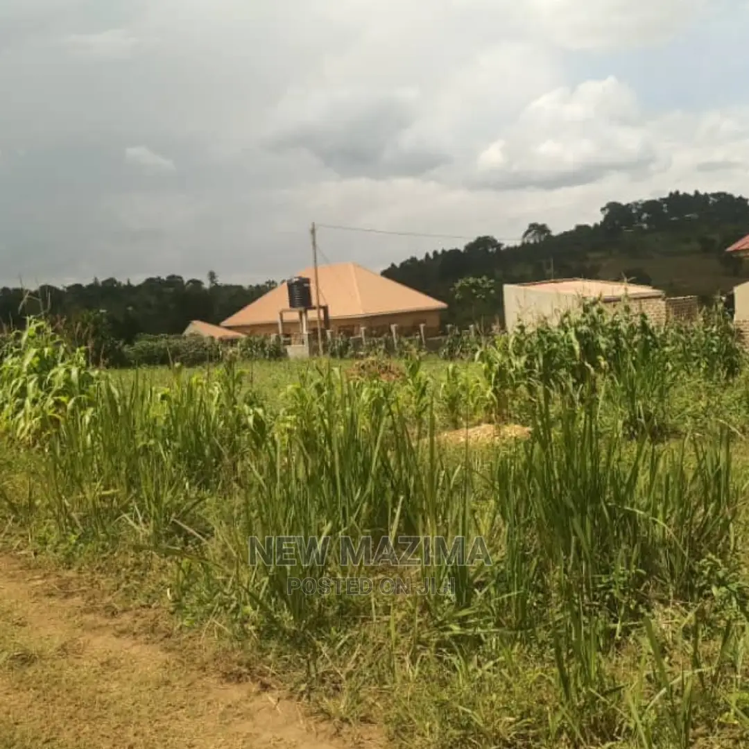 New Estate With Sweetplots at Give Away Price Kiwebwa Manze in Division B