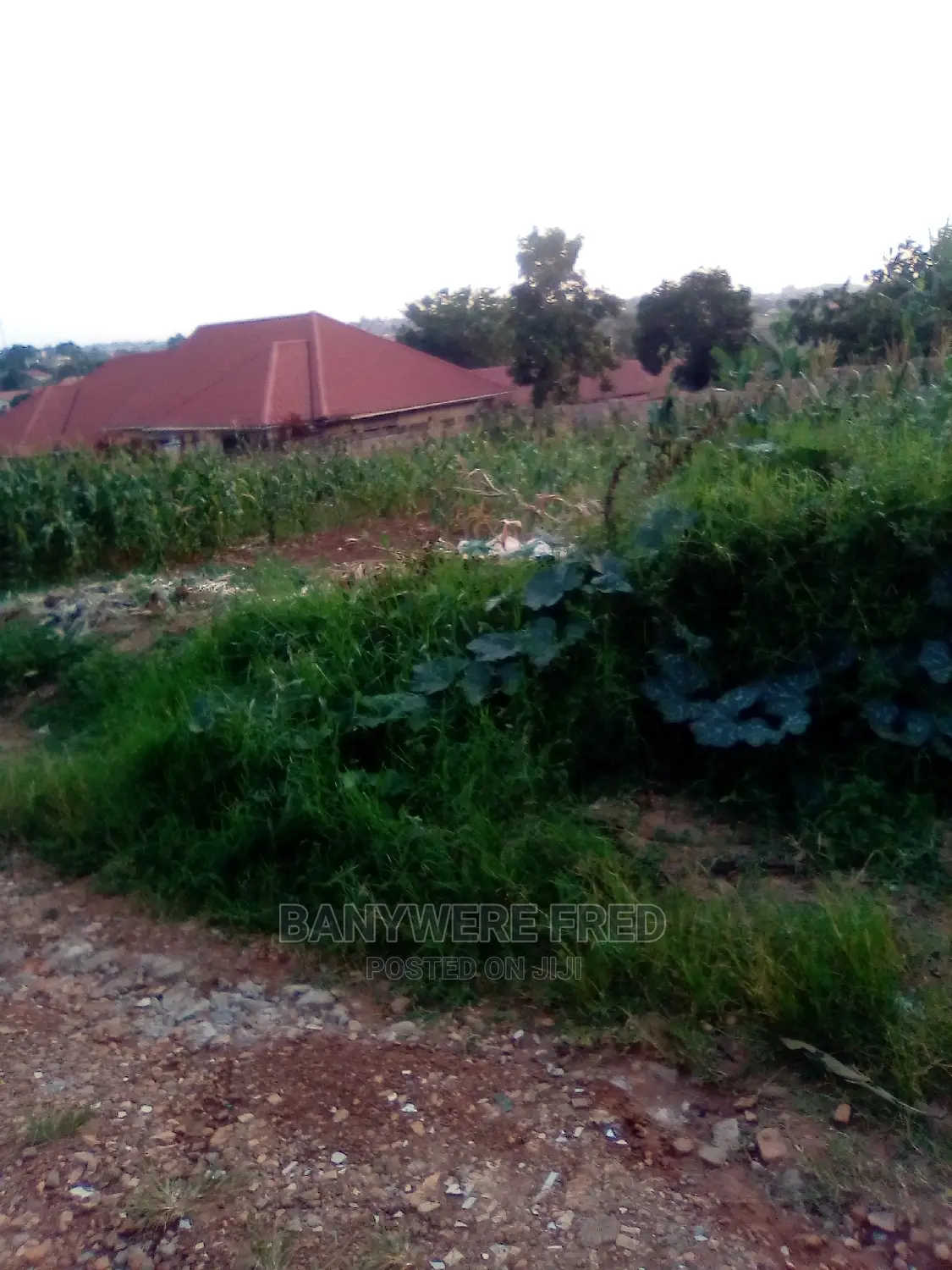 100/100 Plot for Sale in Namugongo Nsawo in Kira