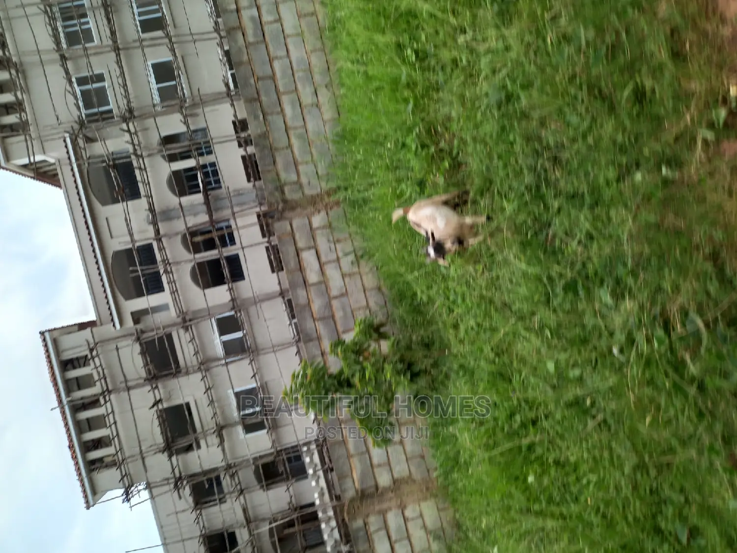 Furnished 2bdrm Condo in Naalya, Central Division for Sale in Central Division