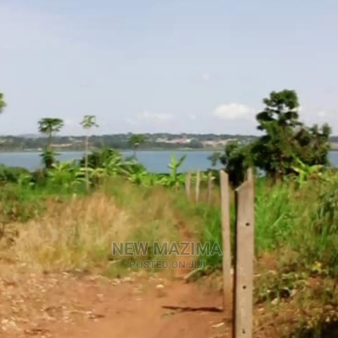 70 Decimals on Quicksale in Kawuku Ntebe Rd Lake Viewing in Division B