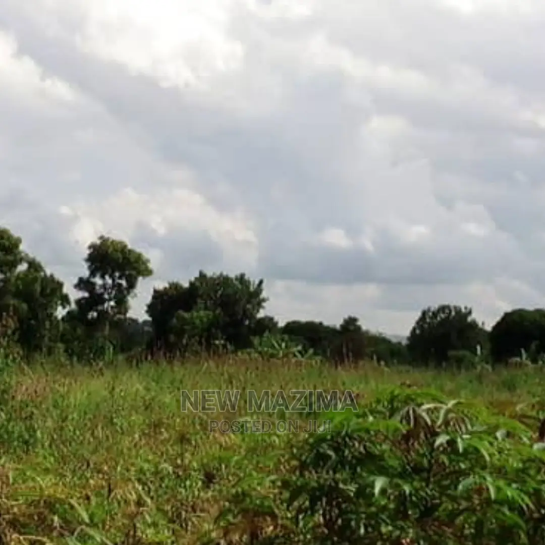 70 Decimals on Quicksale in Kawuku Ntebe Rd Lake Viewing in Division B