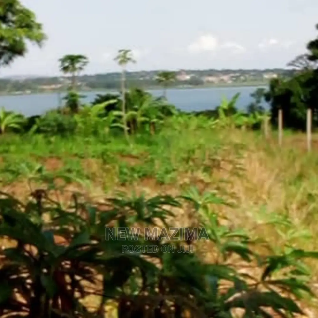 70 Decimals on Quicksale in Kawuku Ntebe Rd Lake Viewing in Division B