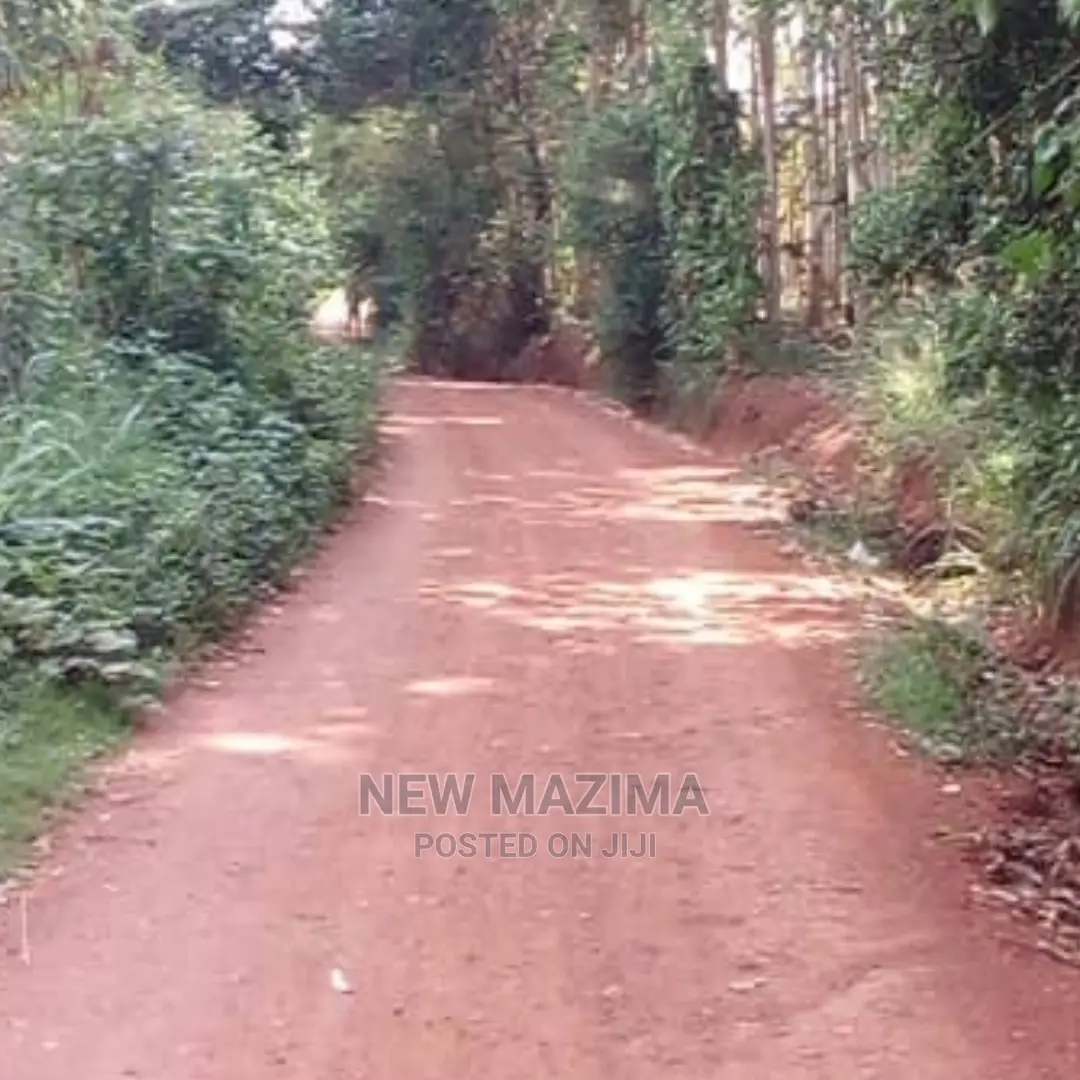 70 Decimals on Quicksale in Kawuku Ntebe Rd Lake Viewing in Division B