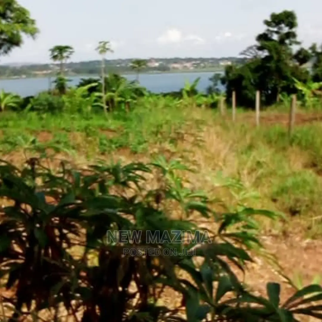 70 Decimals on Quicksale in Kawuku Ntebe Rd Lake Viewing in Division B