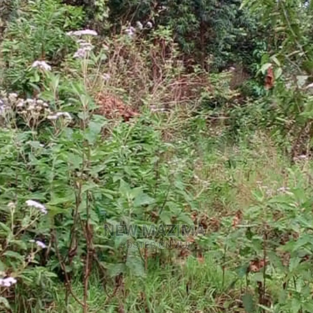 Muduma Along Mityaana Rd in Division B