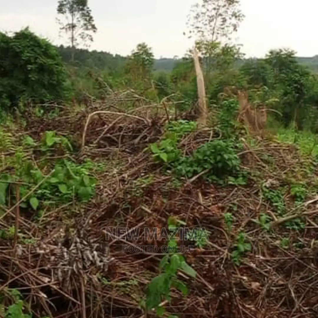 Muduma Along Mityaana Rd in Division B