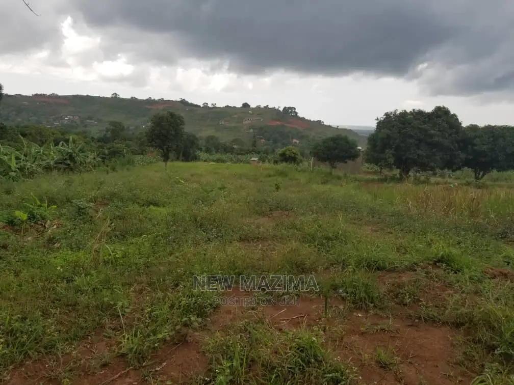 Full Acre Over Looking Into Lake on Quicksale in Nakawuka in Division B