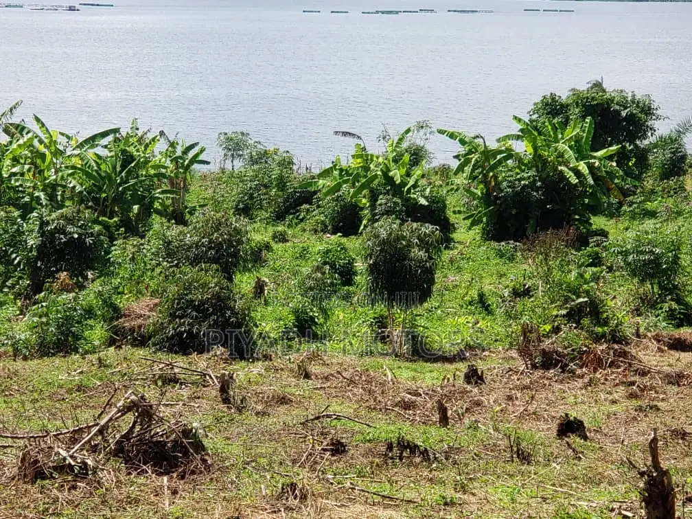 Land for Sale in Mukono Mpata Touching Lake in Central Division