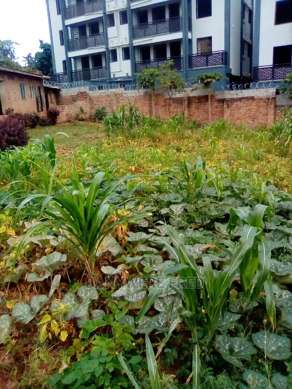 100/100 Plot for Sale in Namugongo Mbalwa in Kira