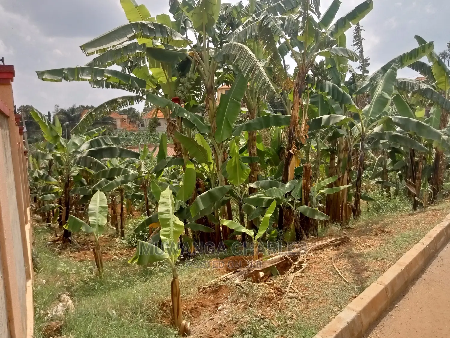 20decimals Plot of Land for Sale in Central Division