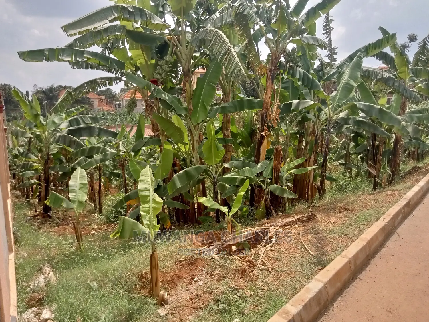 20decimals Plot of Land for Sale in Central Division