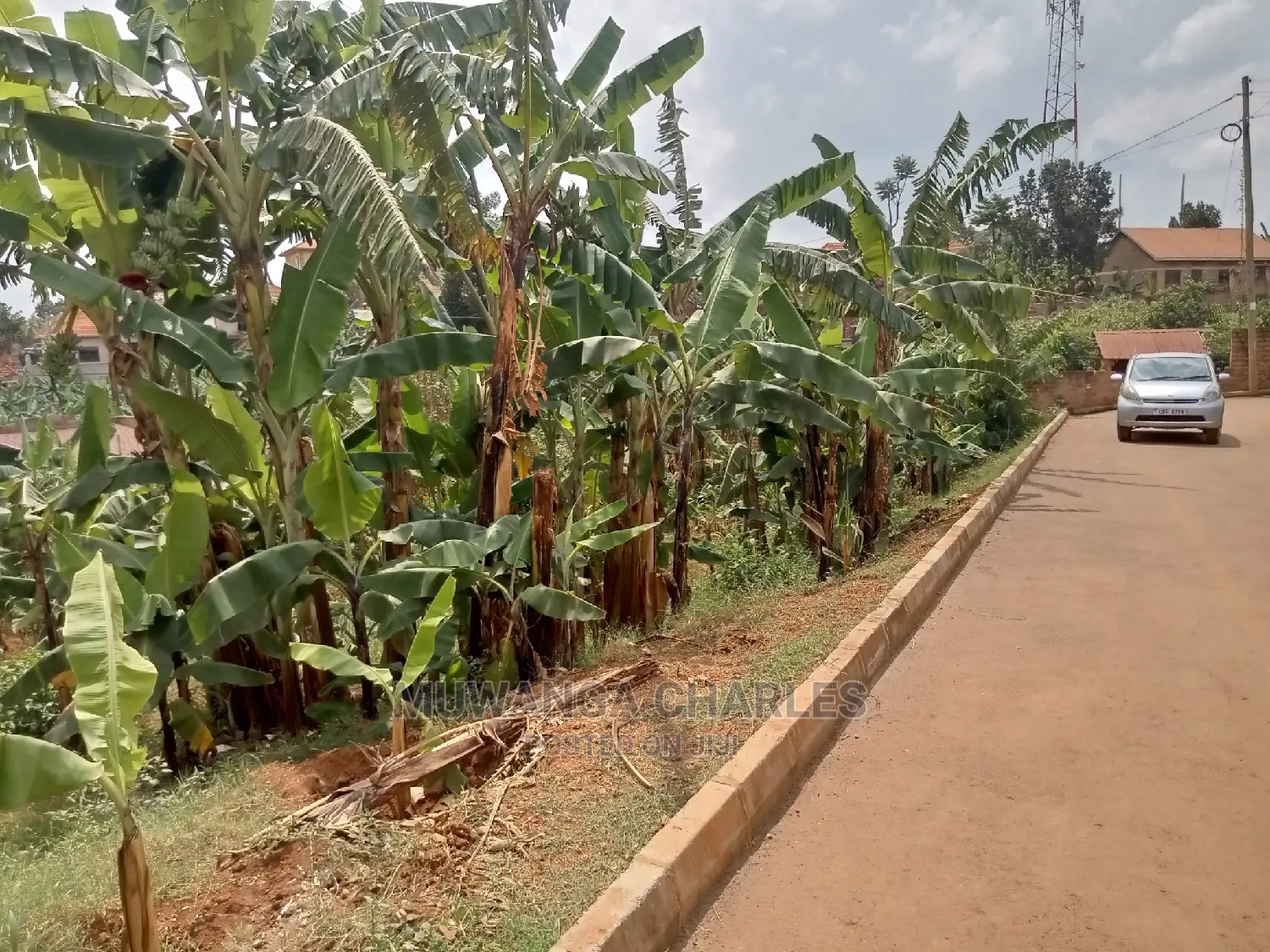 20decimals Plot of Land for Sale in Central Division