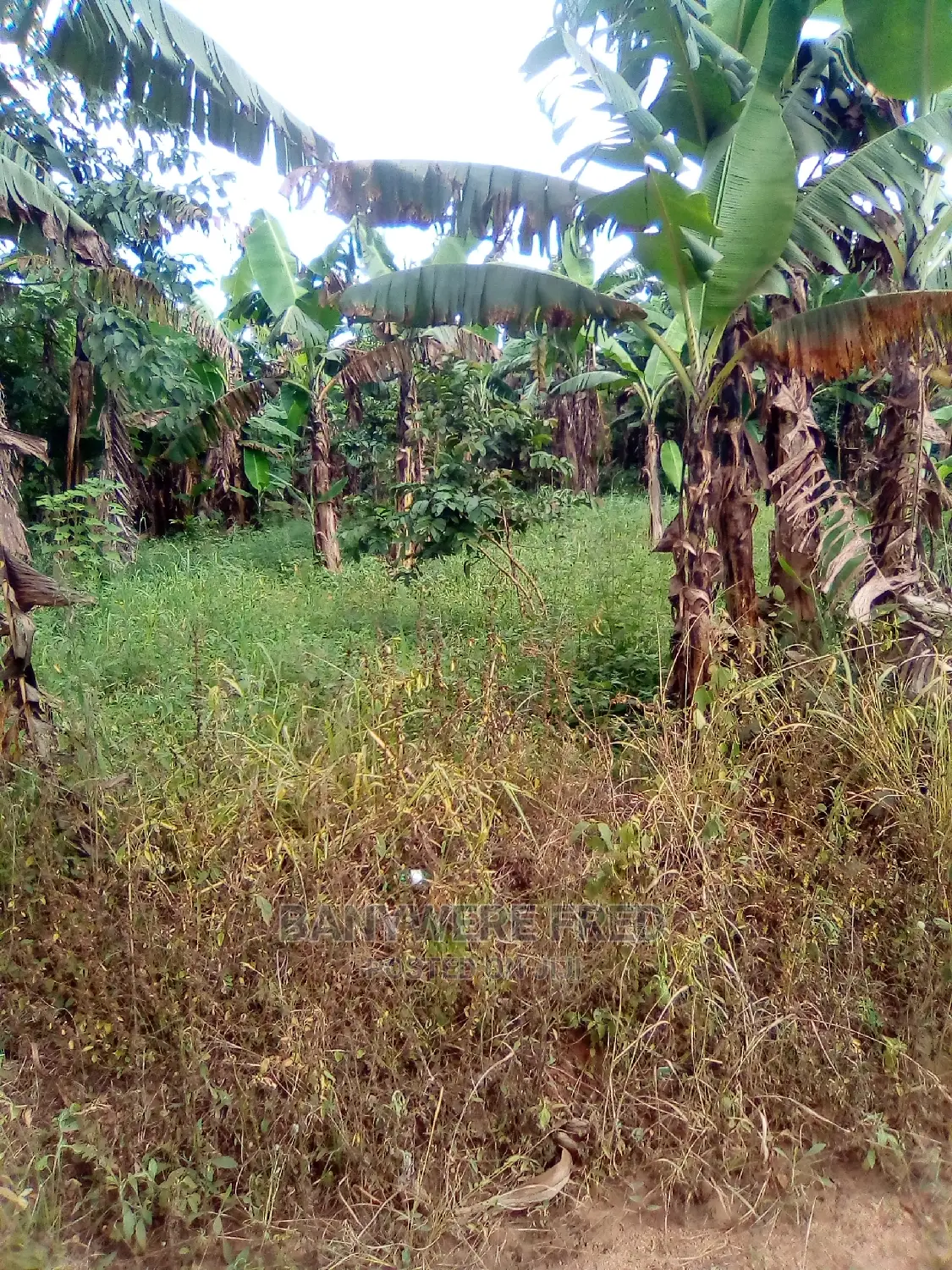 100 Acres Industrial Land in Kasawo in Kasawo