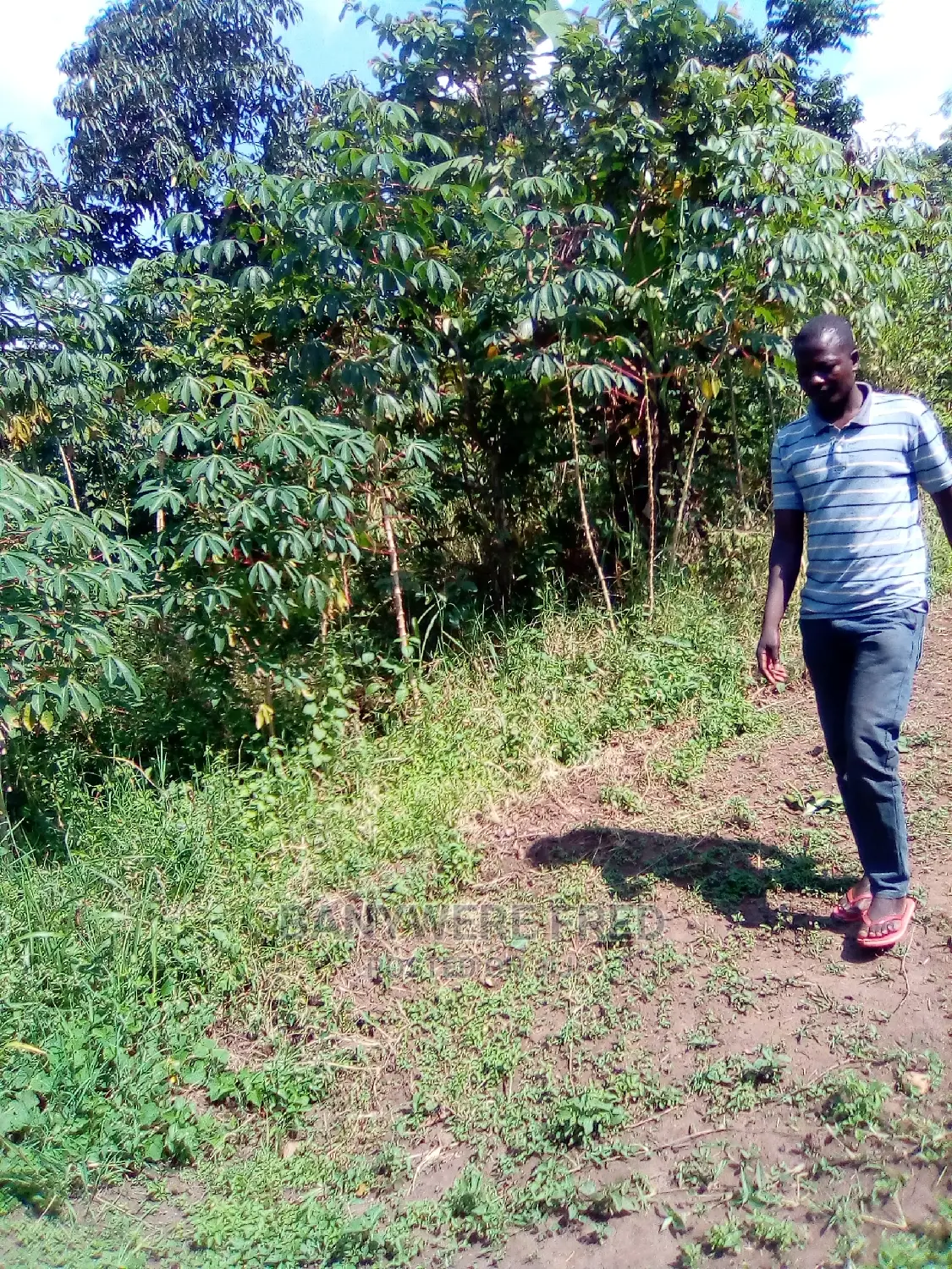 9acres of Farmland for Sale in Kyampisi in Kyampisi