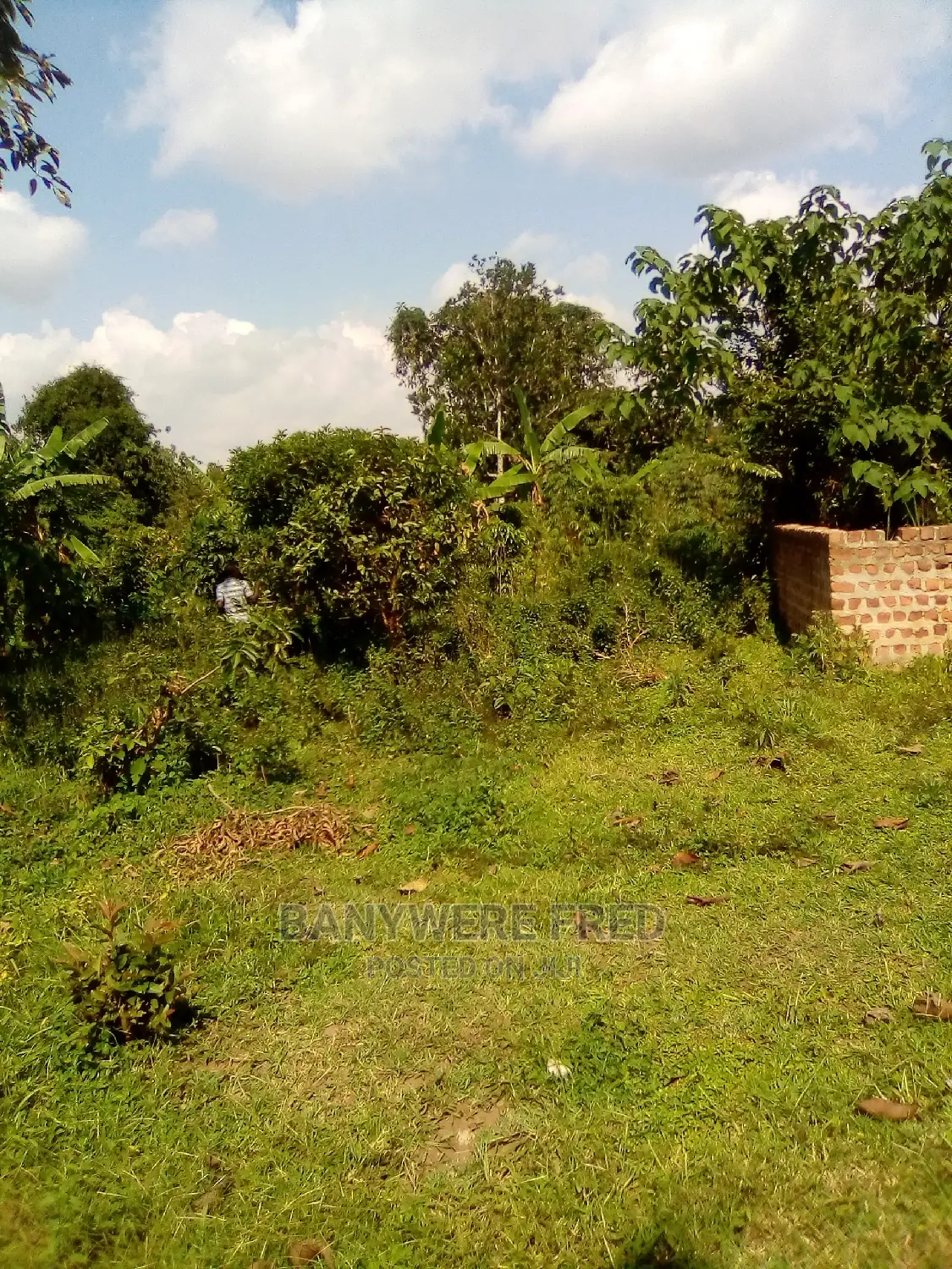 80/100 Plot for Sale in Kyampisi in Kyampisi